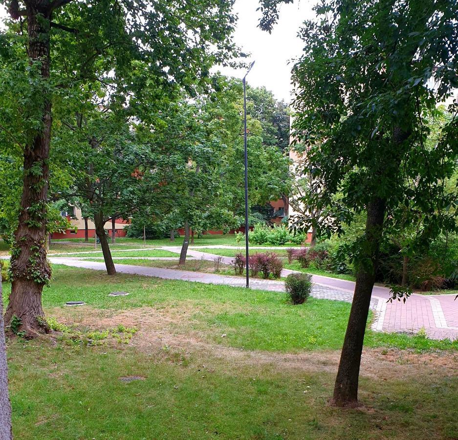 Best Choice 2-Bedroom Apartment Płock Esterno foto