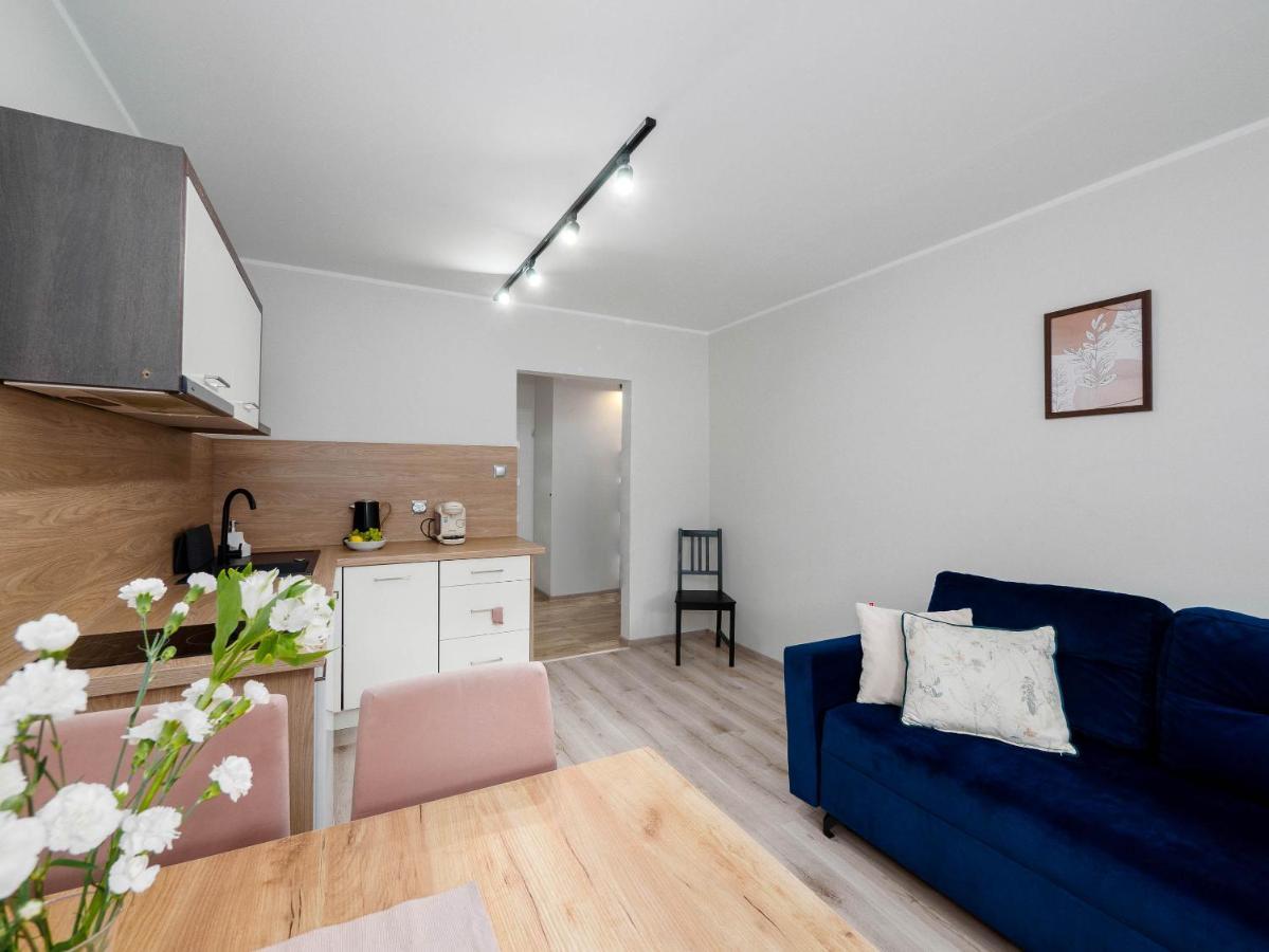 Best Choice 2-Bedroom Apartment Płock Esterno foto